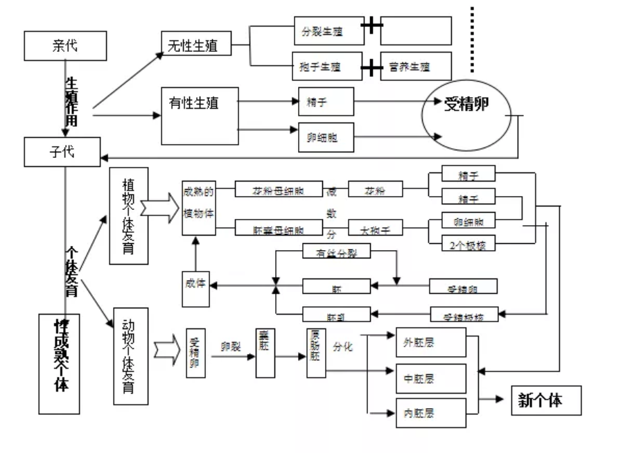 2020高考∣生物复习“六大专题板块”！4