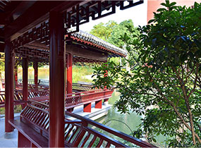 中国人民大学